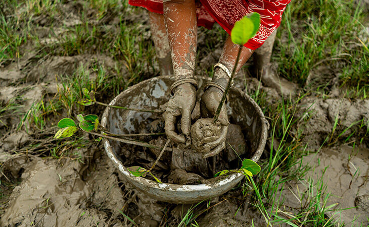 Meet the Indian communities that our tree-growing pledge is transforming